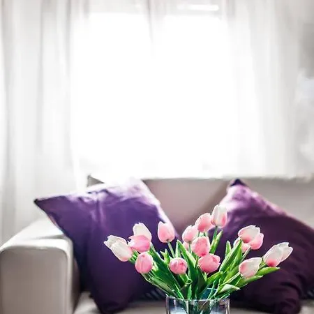 Attic Behind St. Mark's Square 아파트 *